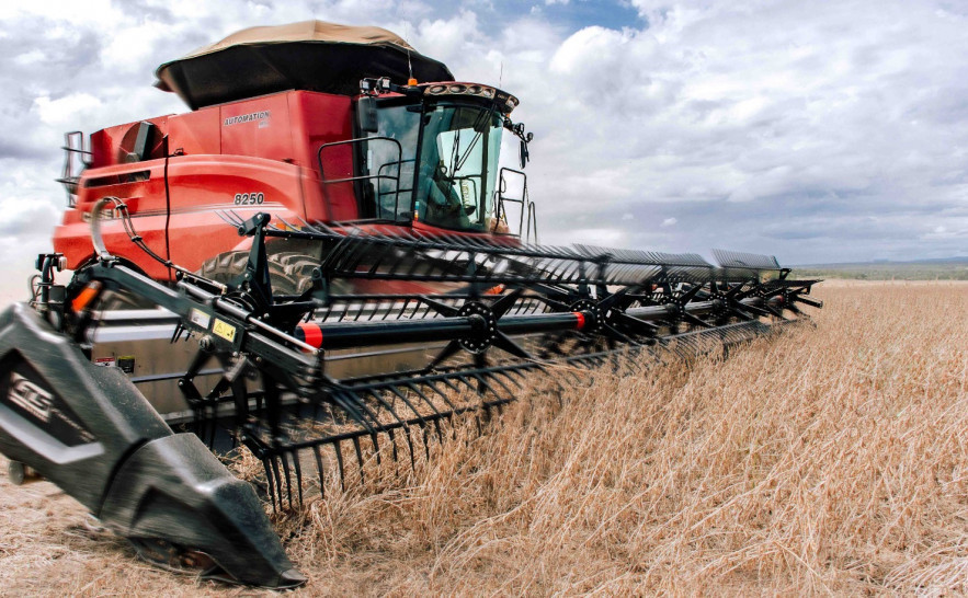 Estado deve registrar o segundo maior crescimento do PIB agropecuário do Brasil em 2025, com alta de 16,4% - Foto: Keven Lopes/Governo do Tocantins